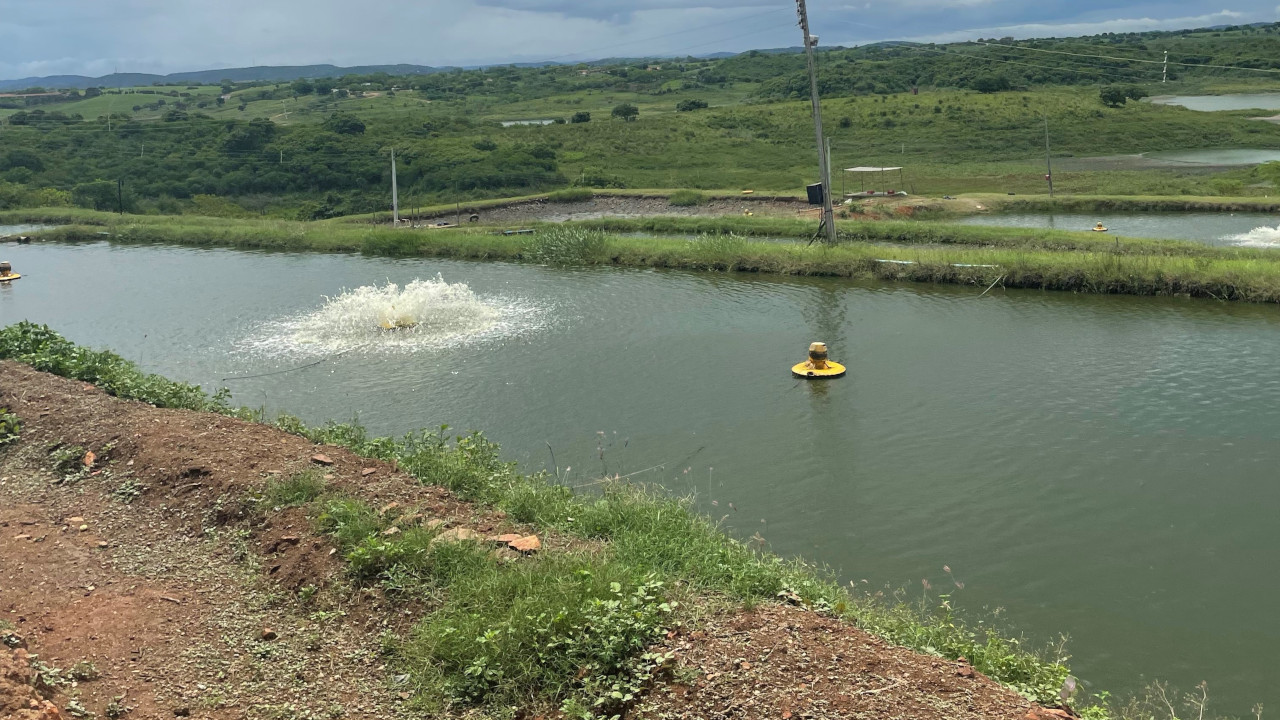 Viveiro de aquicultura com aeradores e paisagem rural
